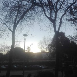 Cartel